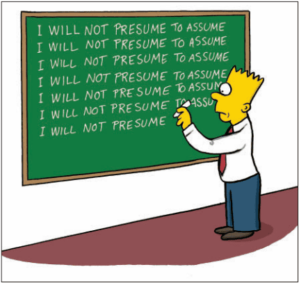The Role of Assumptions in Decisions